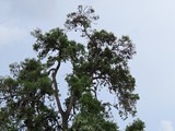 vietnam+kambodscha_492