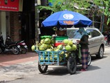 vietnam+kambodscha_523