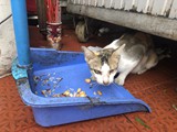 vietnam+kambodscha_548