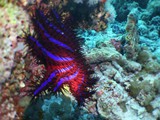 malediven_078