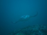 malediven_119