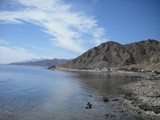 sharm47