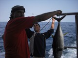 sharm63