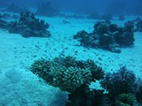 aegypten_2024-12-29_12-28-27_dsci8889