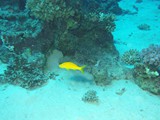 aegypten_2024-12-29_12-38-05_dsci8913
