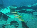 aegypten_2024-12-29_12-52-06_dsci8926