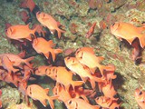 aegypten_2024-12-29_13-04-43_dsci8953