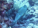 aegypten_2024-12-30_10-17-33_dsci9137