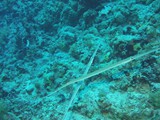 aegypten_2024-12-30_10-26-03_dsci9151