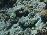 aegypten_2024-12-30_10-38-38_dsci9173