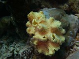 aegypten_2024-12-30_10-41-17_dsci9184
