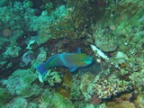 aegypten_2024-12-30_14-50-33_dsci9321