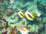 aegypten_2024-12-30_14-57-38_dsci9333