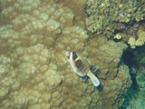 aegypten_2024-12-30_15-09-35_dsci9359