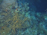 aegypten_2024-12-31_06-13-45_dsci9386