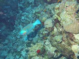aegypten_2024-12-31_06-27-48_dsci9405