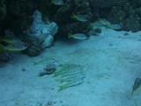 aegypten_2024-12-31_06-46-09_dsci9426