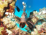 aegypten_2024-12-31_10-06-08_dsci9451