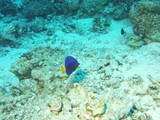 aegypten_2024-12-31_10-11-27_dsci9455