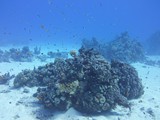 aegypten_2024-12-31_10-17-50_dsci9461
