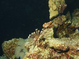 aegypten_2024-12-31_17-43-09_dsci9533