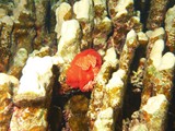 aegypten_2024-12-31_17-45-44_dsci9537