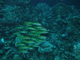 aegypten_2025-01-01_06-39-01_dsci9556