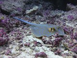 aegypten_2025-01-01_07-03-23_dsci9612