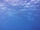 aegypten_2025-01-01_07-33-56_dsci9660