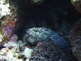 aegypten_2025-01-01_10-36-29_dsci9770