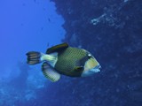 aegypten_2025-01-01_10-41-46_dsci9779