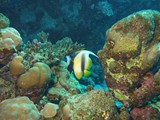 aegypten_2025-01-01_14-35-43_dsci9826