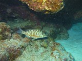 aegypten_2025-01-01_14-43-51_dsci9835
