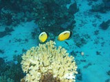 aegypten_2025-01-02_06-10-59_dsci9884