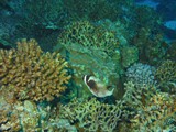 aegypten_2025-01-02_06-13-13_dsci9888
