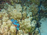 aegypten_2025-01-02_06-36-31_dsci9909