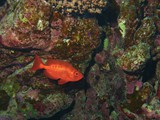 aegypten_2025-01-02_06-38-21_dsci9914