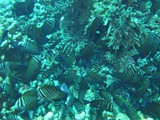 aegypten_2025-01-02_12-23-18_dsci9971