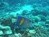 aegypten_2025-01-02_12-24-59_dsci9977