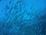 aegypten_2025-01-02_12-42-03_dsci0004