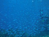 aegypten_2025-01-02_12-42-08_dsci0005