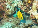 aegypten_2025-01-02_12-47-09_dsci0012