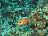 aegypten_2025-01-03_06-38-12_dsci0162