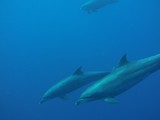 aegypten_2025-01-03_06-58-25_dsci0208