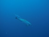 aegypten_2025-01-03_06-58-44_dsci0211