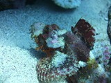 aegypten_2025-01-03_10-27-56_dsci0266