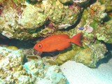 aegypten_2025-01-03_10-44-48_dsci0289