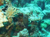 aegypten_2025-01-03_10-45-40_dsci0291
