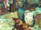 aegypten_2025-01-03_10-49-50_dsci0304