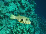 aegypten_2025-01-03_11-08-13_dsci0343